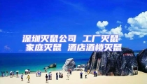 深圳滅鼠公司 工廠滅鼠 家庭滅鼠 酒店酒樓滅鼠
