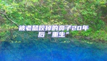 被老鼠咬掉的鼻子20年后“重生”