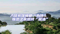 入住賓館蟑螂“為伴” 驚恐之余怒討“說法”