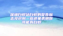 深圳白蟻站白蟻的警告標志及識別一些跡象表明你可能有白蟻