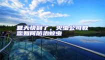 夏天快到了,滅蟲公司教您如何防治蚊蟲
