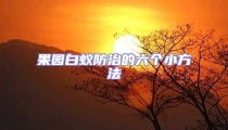 果園白蟻防治的六個小方法