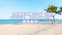【深圳殺蟑螂公司】3點原因告訴你,為什么遇見蟑螂不能踩!