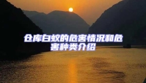 倉庫白蟻的危害情況和危害種類介紹