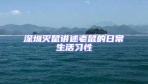深圳滅鼠講述老鼠的日常生活習(xí)性