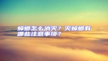 蟑螂怎么消滅?滅蟑螂有哪些注意事項?