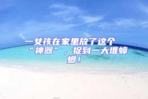 一女孩在家里放了這個“神器”，捉到一大堆蟑螂！