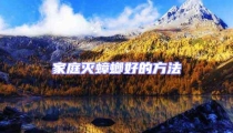 家庭滅蟑螂好的方法