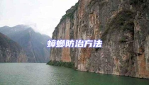 蟑螂防治方法