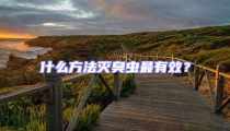 什么方法滅臭蟲最有效?