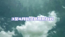 3至4月份注意預防白蟻