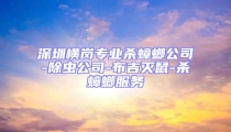 深圳橫崗專業殺蟑螂公司-除蟲公司-布吉滅鼠-殺蟑螂服務