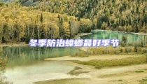 冬季防治蟑螂最好季節