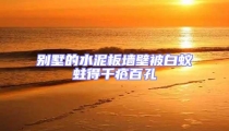 別墅的水泥板墻壁被白蟻蛀得千瘡百孔