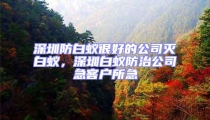 深圳防白蟻很好的公司滅白蟻,深圳白蟻防治公司急客戶所急