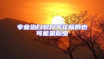 專業治白蟻咬天花板的也可能是粉蟲