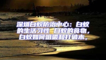 深圳白蟻防治中心:白蟻的生活習性 白蟻的食物,白蟻如何咀嚼和打破木,