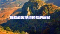 白蟻危害侵染傳播的途徑