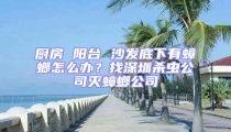 廚房 陽臺 沙發(fā)底下有蟑螂怎么辦?找深圳殺蟲公司滅蟑螂公司