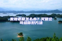 發(fā)現(xiàn)老鼠怎么辦？滅鼠公司給你好方法