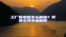 工廠(chǎng)有老鼠怎么解決？滅鼠公司專(zhuān)業(yè)解答