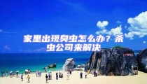 家里出現(xiàn)臭蟲怎么辦?殺蟲公司來解決