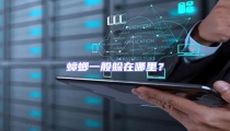 蟑螂一般躲在哪里?