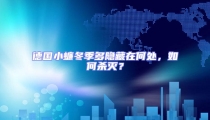 德國小蠊冬季多隱藏在何處,如何殺滅?