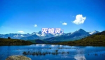 滅蟑靈:
