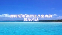 如何防治老鼠進入室內的最佳方法