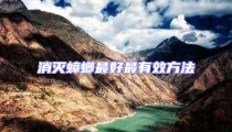 消滅蟑螂最好最有效方法