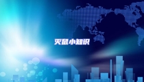 滅鼠小知識