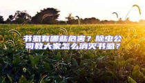 書虱有哪些危害?除蟲公司教大家怎么消滅書虱?