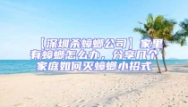 【深圳殺蟑螂公司】家里有蟑螂怎么辦,分享幾個家庭如何滅蟑螂小招式