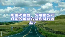 家里滅老鼠,滅老鼠公司介紹的這些方法你試過哪些?