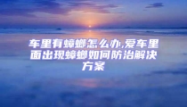車?yán)镉畜朐趺崔k,愛車?yán)锩娉霈F(xiàn)蟑螂如何防治解決方案