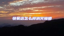快餐店怎么樣消滅蟑螂