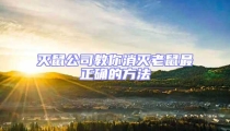 滅鼠公司教你消滅老鼠最正確的方法