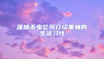 深圳殺蟲公司介紹果蠅的生活習性