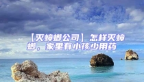【滅蟑螂公司】怎樣滅蟑螂,家里有小孩少用藥