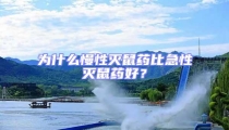 為什么慢性滅鼠藥比急性滅鼠藥好?