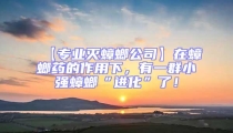 【專業滅蟑螂公司】在蟑螂藥的作用下,有一群小強蟑螂“進化”了!