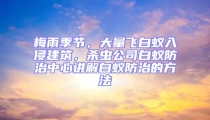 梅雨季節,大量飛白蟻入侵建筑,殺蟲公司白蟻防治中心講解白蟻防治的方法