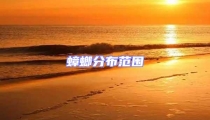 蟑螂分布范圍