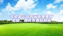 滅老鼠公司告訴你家里有老鼠,如何布置粘鼠板