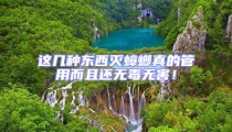 這幾種東西滅蟑螂真的管用而且還無毒無害!