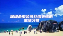 深圳殺蟲公司介紹衣蛾的生活習性