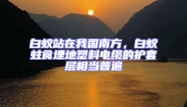白蟻站在我國南方,白蟻蛀食埋地塑料電纜的護套層相當普遍