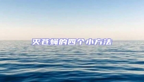 滅蒼蠅的四個小方法