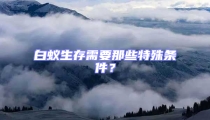 白蟻生存需要那些特殊條件?